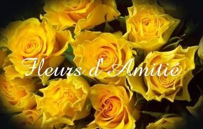 salut &agrave; tout le monde